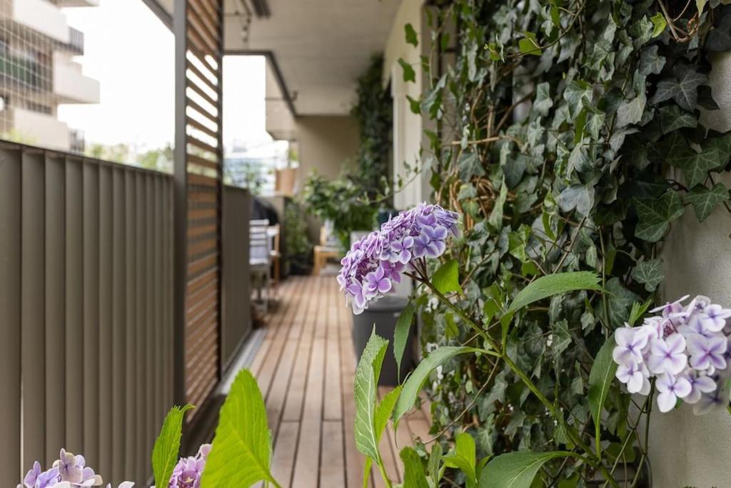 Dream Apartment - Central And Quiet With Ac And Free Parking Garage Wien Eksteriør bilde